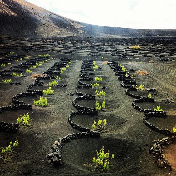 Mini Cruceros de calor en Lanzarote