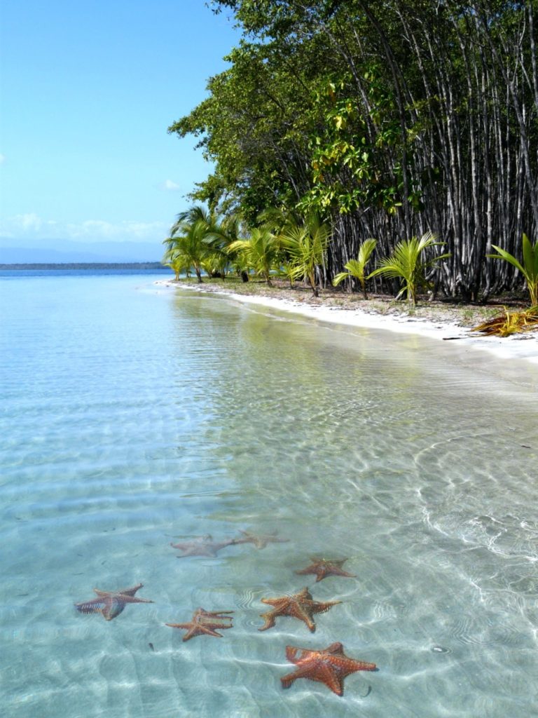 Catamaran en el Caribe - San Blas (Panama)